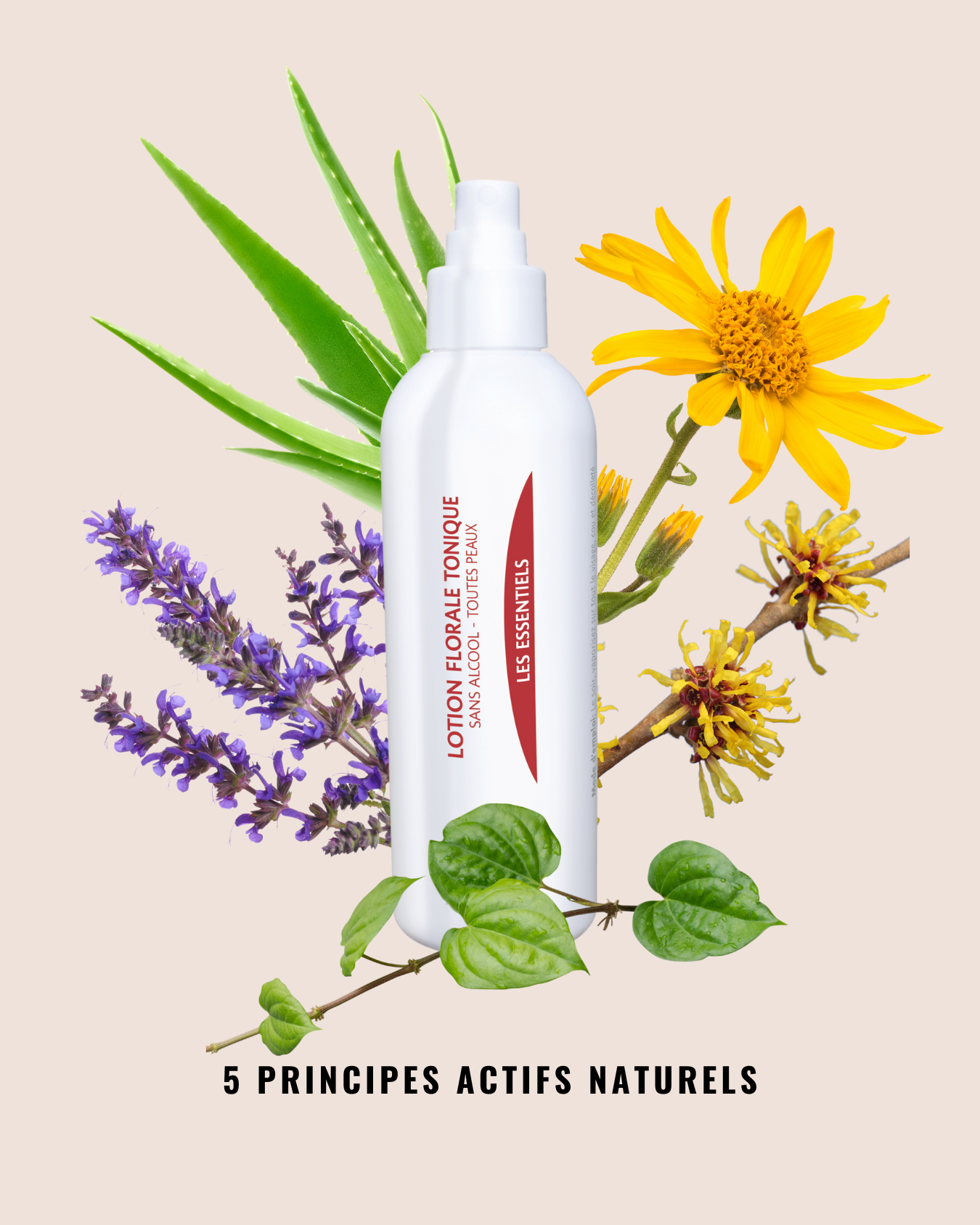 Floral Toning Lotion - Alle huidtypen