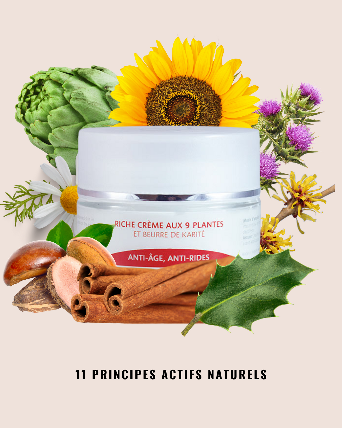 Rich Cream with 9 Plants and Shea Butter