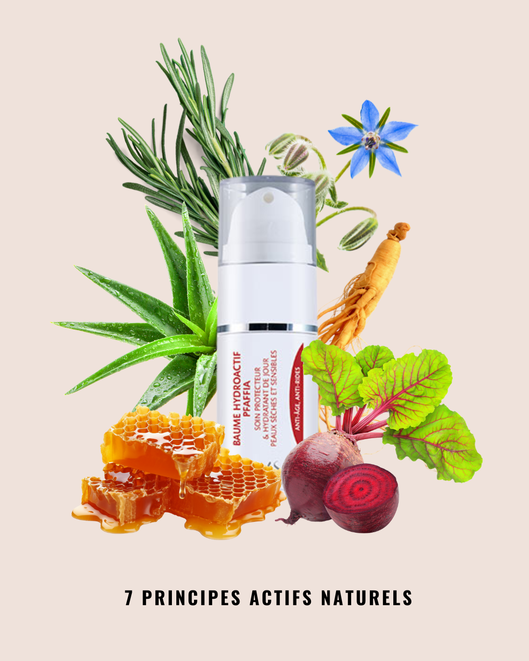 Pfaffia Hydroactive Balm