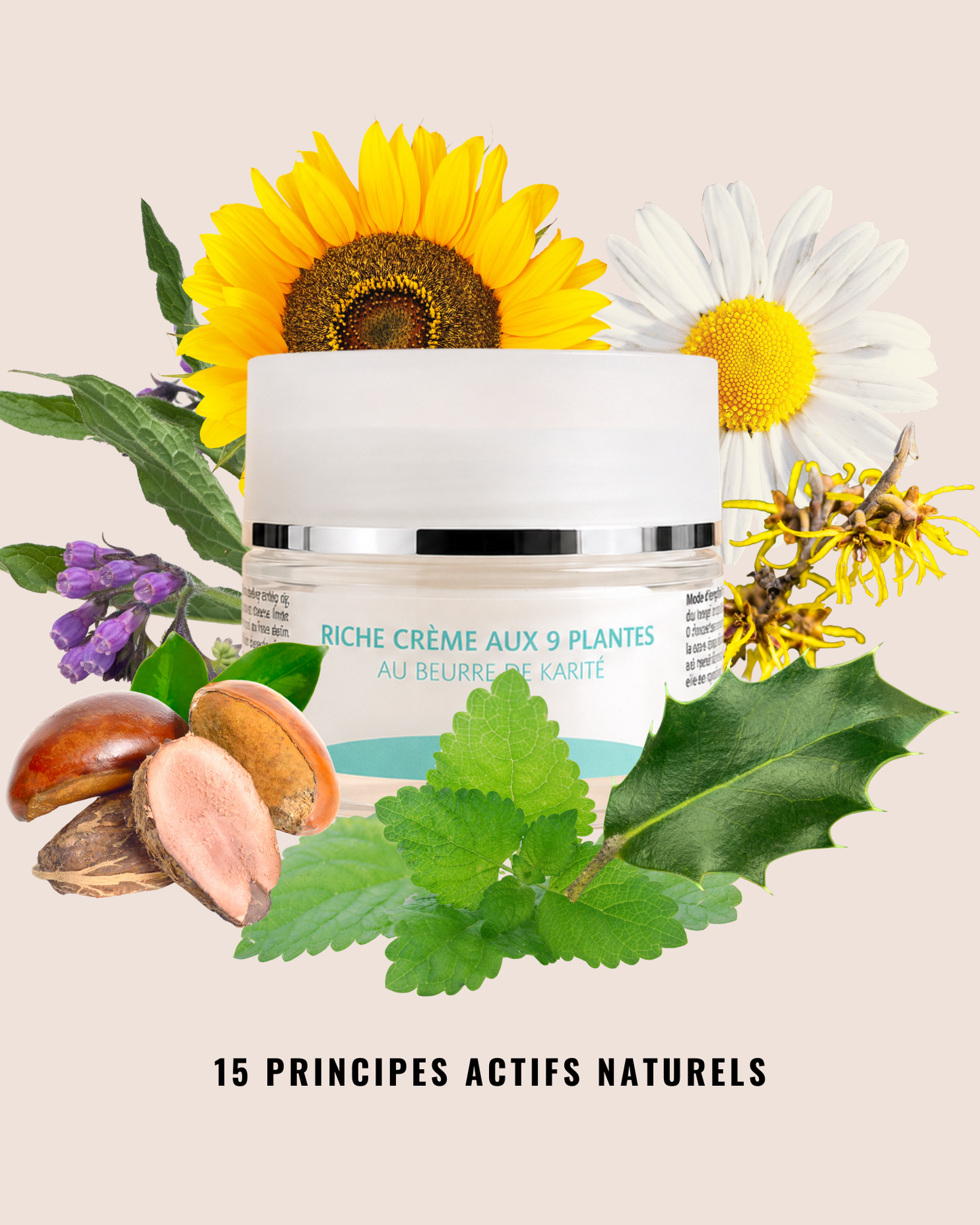 Rich Cream with 9 Plants and Shea Butter