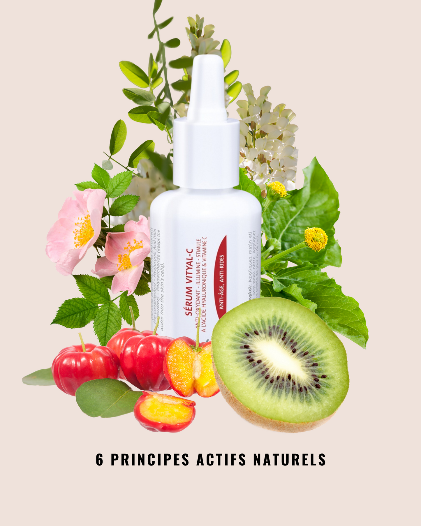 Sérum Vityal-C à l'acide hyaluronique et vitamine C