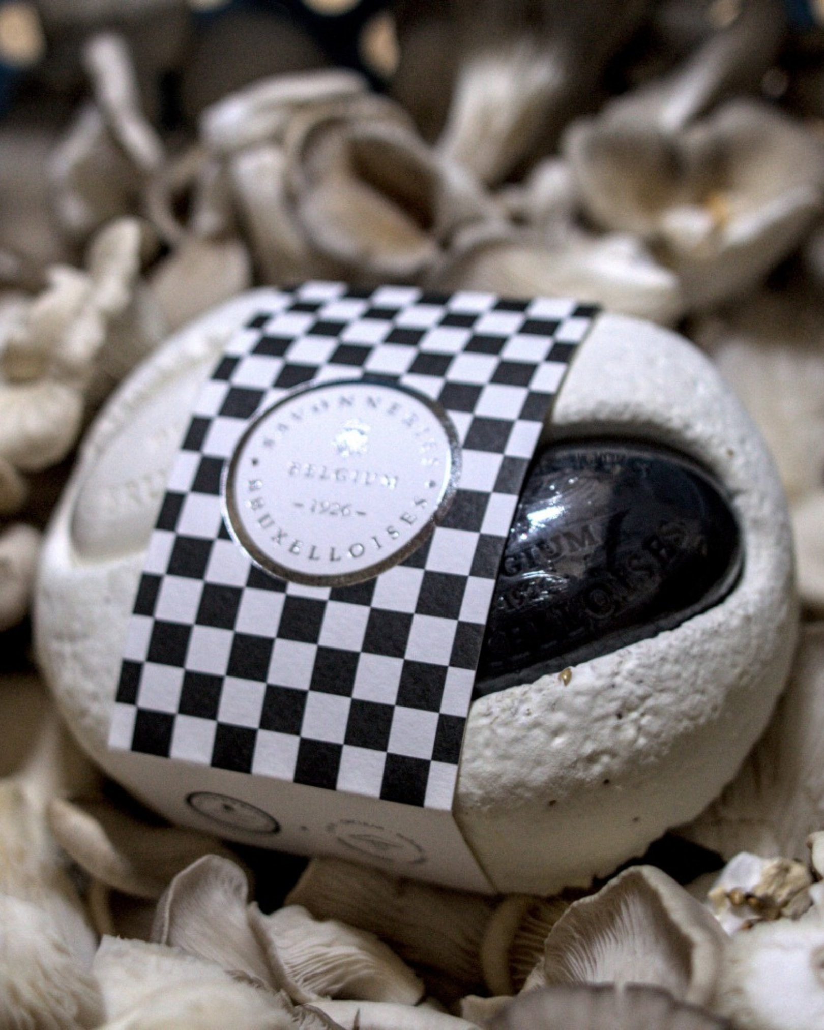 DUO Savons Permafungi  Gingembre / Citron Vert + Rose Noire