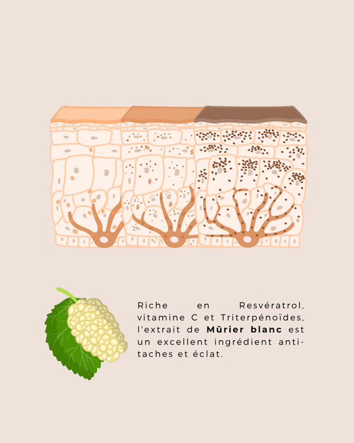 Charger l&#39;image 1 dans la galerie. Crème de Jour Illuminante