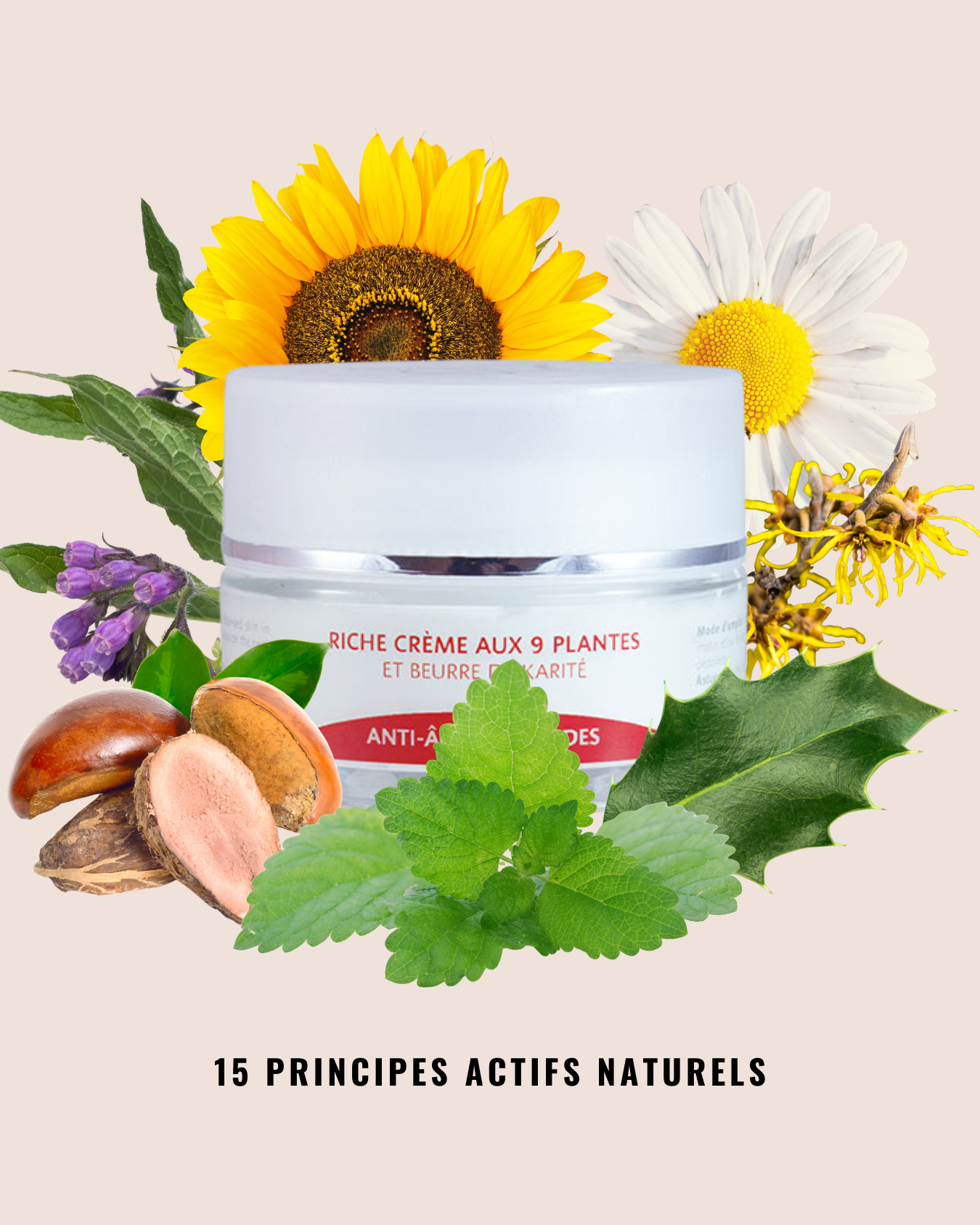 [Nieuwe formule] Rijke crème met 9 plantenextracten en sheaboter