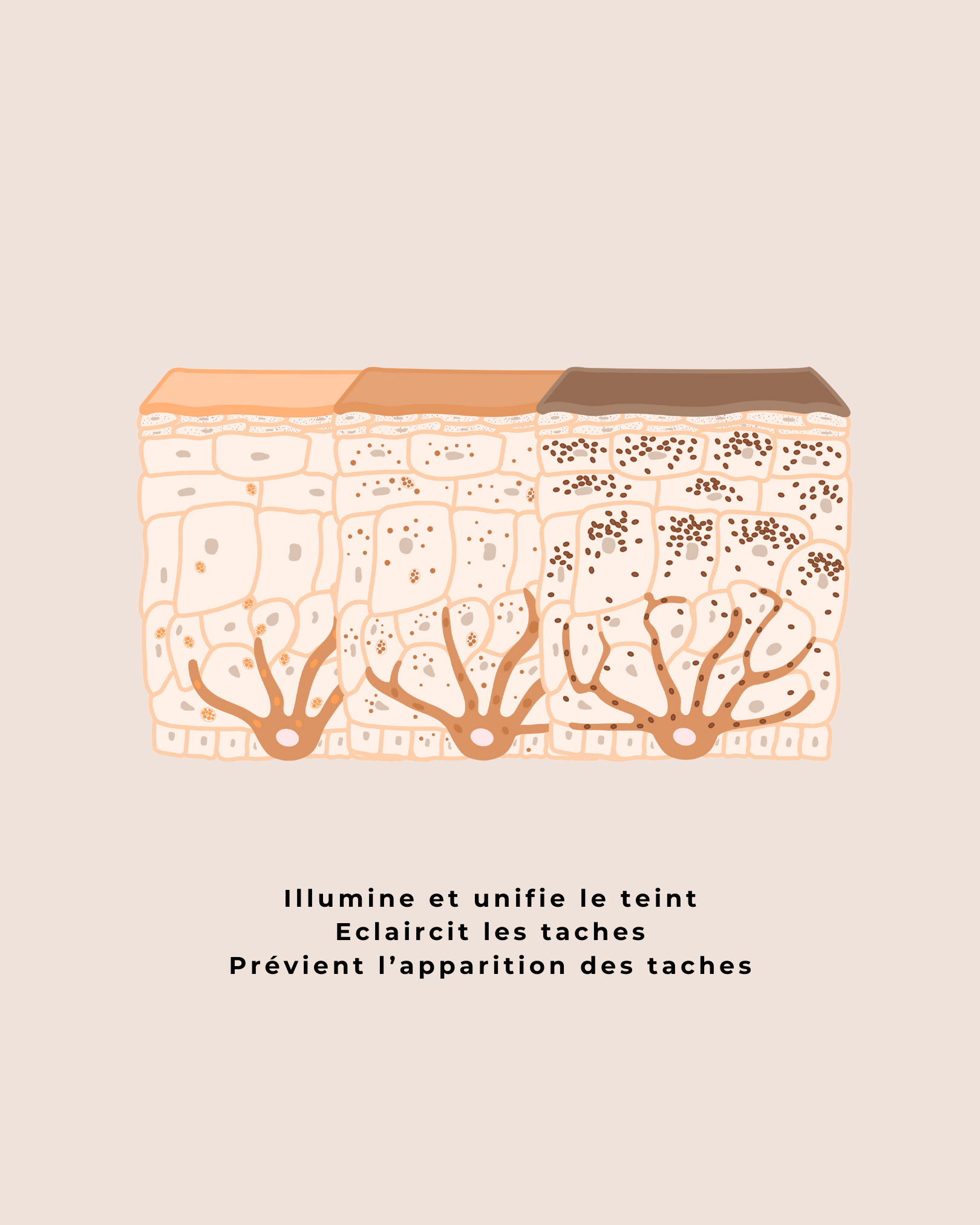 Lait Démaquillant Illuminant