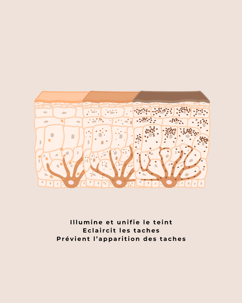 Charger l&#39;image 1 dans la galerie. Lait Démaquillant Illuminant